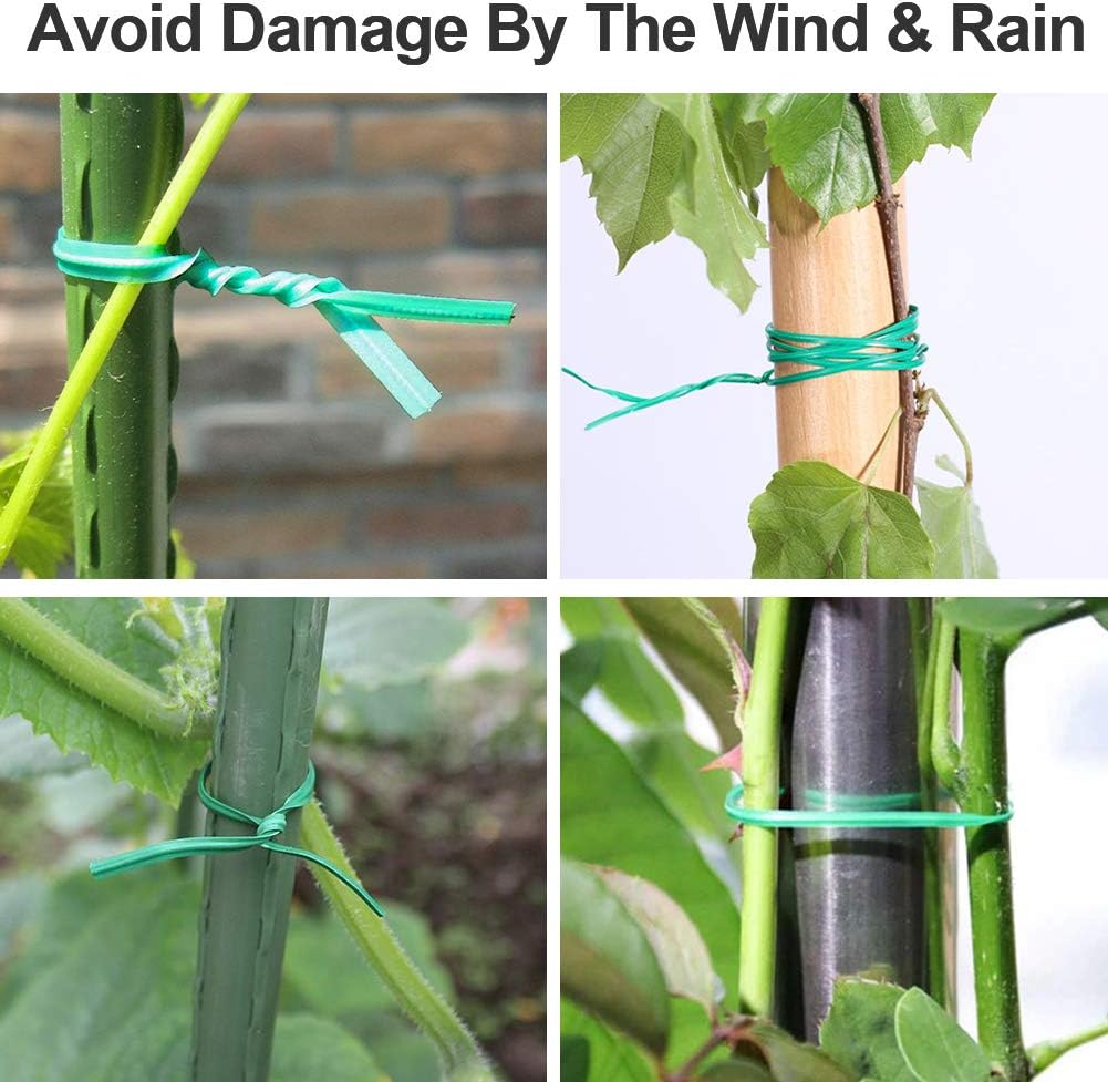 (2 Reels) Garden Wire, Twist Ties Heavy Duty with Cutter 328 Ft Multi-Function Green Coated Tape to Support Plant Tie Up Bags for Home Office (328 Feet / 100 m)